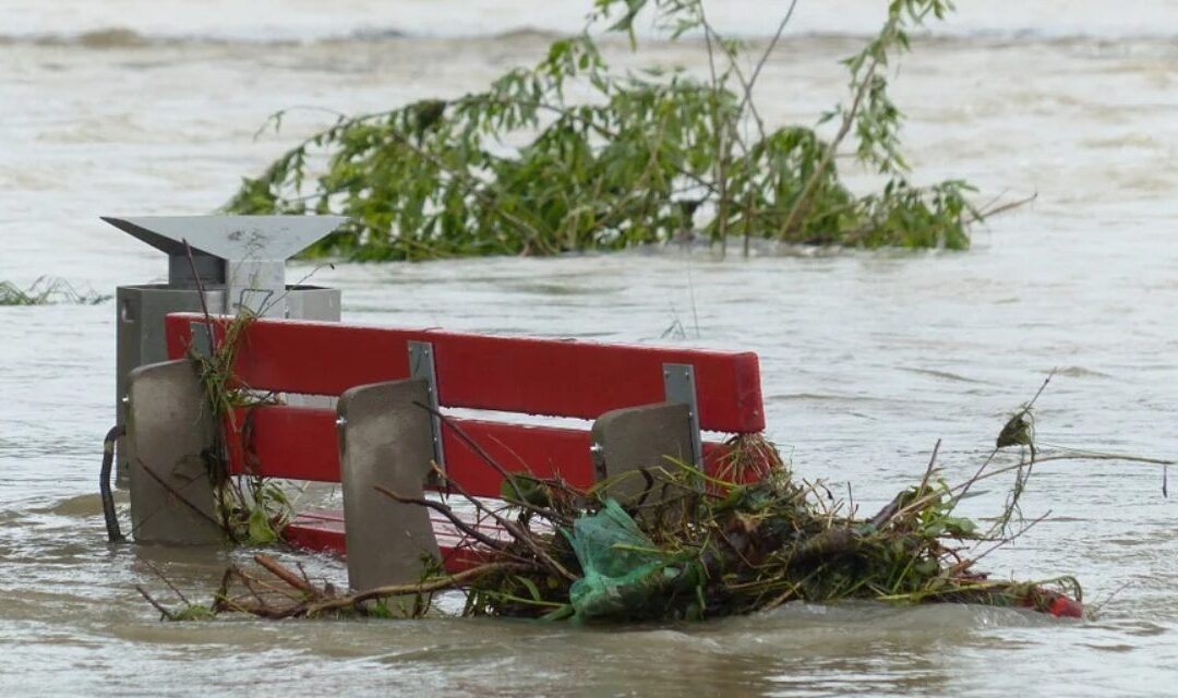 Common declaration on the catastrophic floods